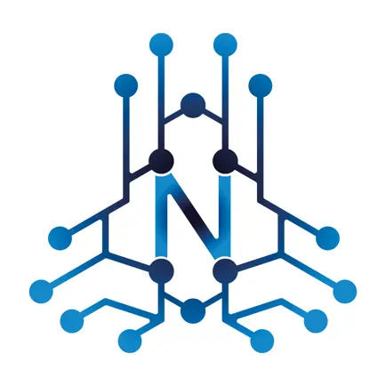 Netronik Читы