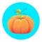 App is a convenient and practical software designed specifically for determining the maturity of pumpkins