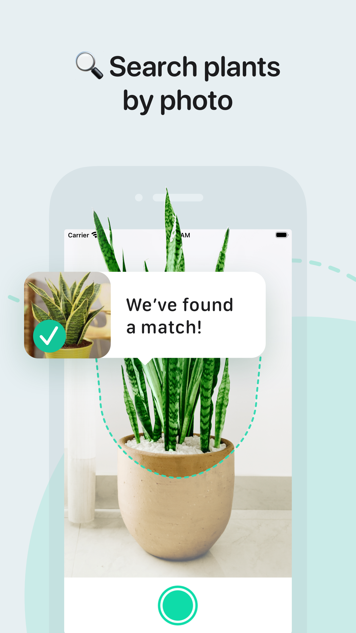 AI Plant Identify & Care App