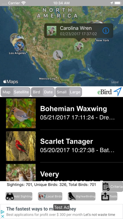 Big Year Birding ABA