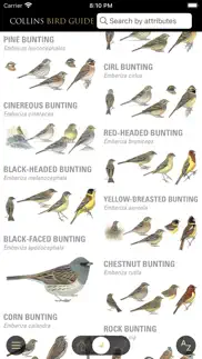 collins bird guide problems & solutions and troubleshooting guide - 3