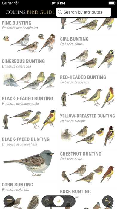 Collins Bird Guide Screenshot