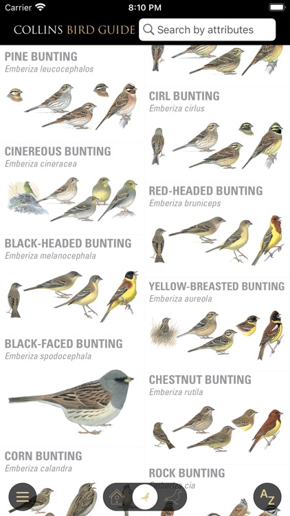 Collins Bird Guide