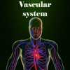 Vascular system icon