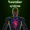 Vascular system contact information