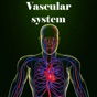 Vascular system app download