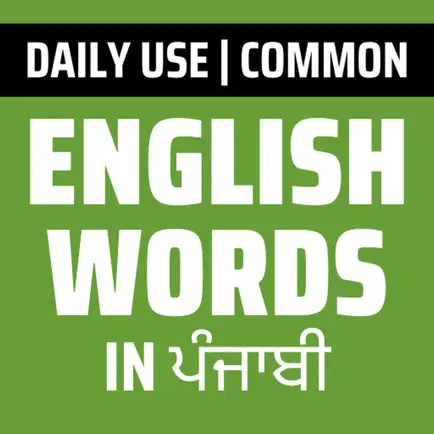 Daily Words English to Punjabi Cheats