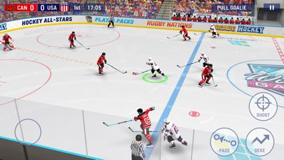 Hockey All Stars 24 Screenshot