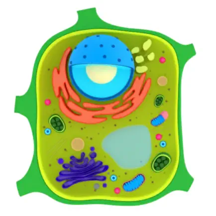 Plant Cell Cheats