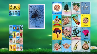 La Loteria! Screenshot