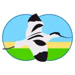 Vogels van Nederland en België App Support