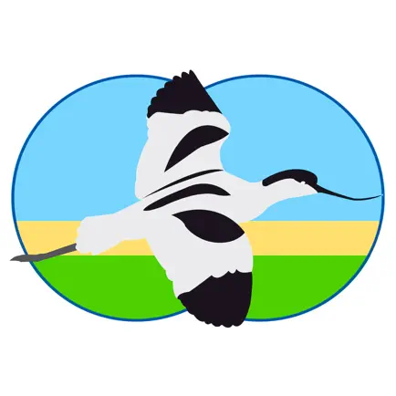 Vogels van Nederland en België Читы