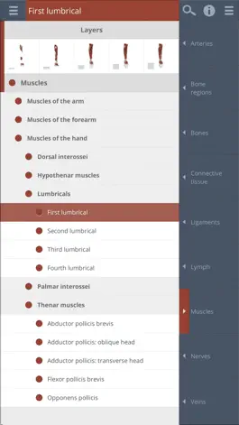 Game screenshot Primal's 3D Forearm & Hand hack