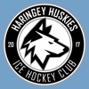 Haringey Huskies