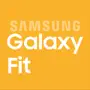 Samsung Galaxy Fit (Gear Fit)