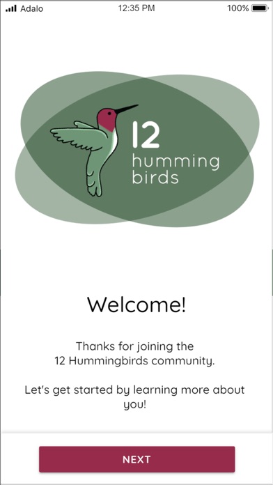 12 Hummingbirds Screenshot