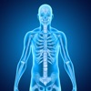 Skeletal System Medical Terms icon