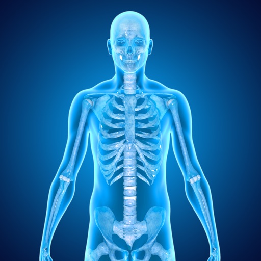 Skeletal System Medical Terms icon