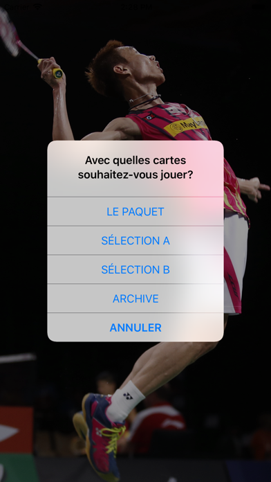 CartEduc Badminton Screenshot
