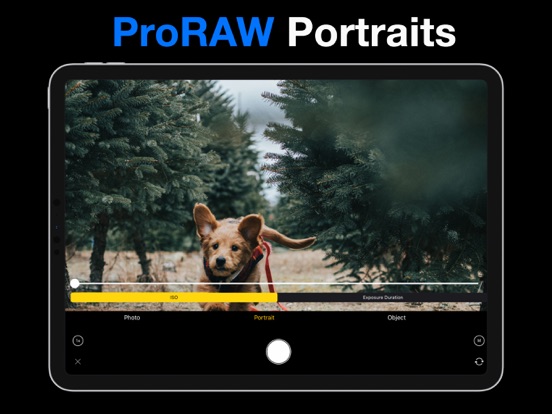 Phocus: Portrait Mode Editor iPad app afbeelding 2