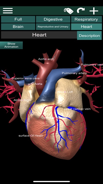 ORGANS 3D (ANATOMY) screenshot-4