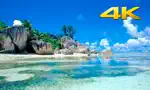 Beach TV 4K App Support