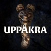 Uppåkra - Hidden History icon