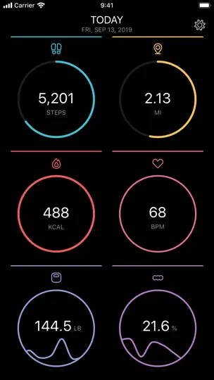 Screenshot von FitPort auf dem iPhone 1