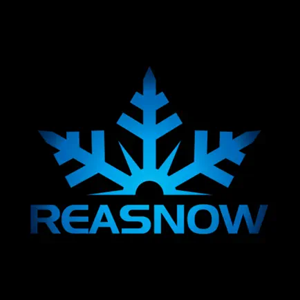 ReaSnow Manager Cheats
