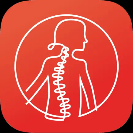 Brace Rite Scoliosis Читы