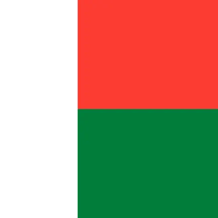 Malagasy-English Dictionary Cheats