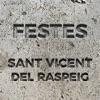 Festes Sant Vicent icon