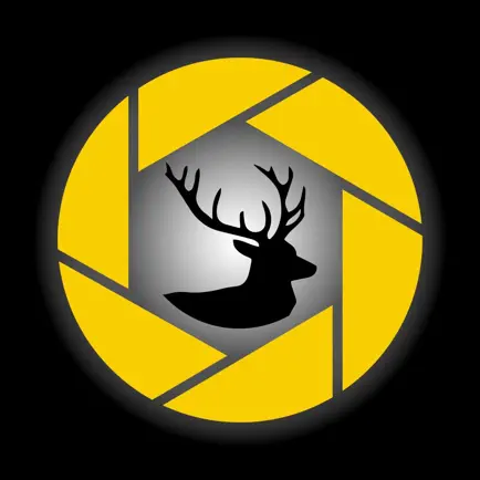 TrailCam Link Cheats