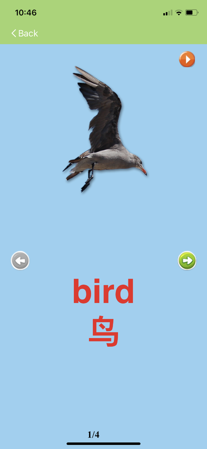 Write Chinese KnowleMedia