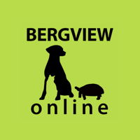 Bergview Online