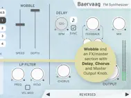 Baervaag - FM Synthesizer ipad bilder 3