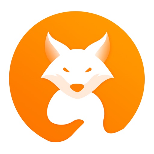 Browser Pro - Private Browser Download