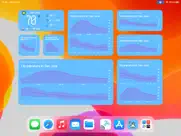pixel weather - forecast ipad images 3
