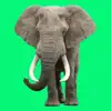 Animal Sounds Voice Effects App Feedback