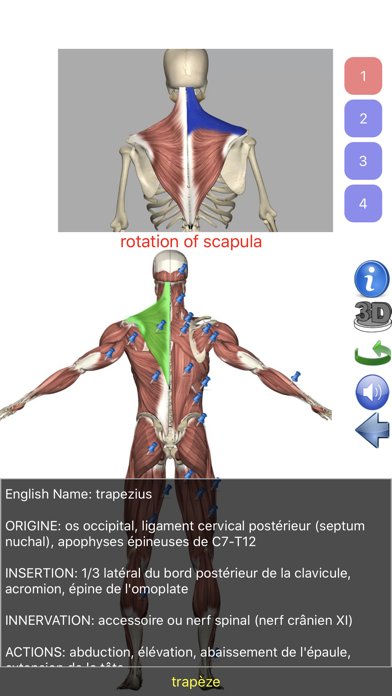 Screenshot #2 pour Visual Anatomy Lite