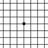 Amsler Grid App - My Call Bag LLC