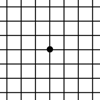 Amsler Grid App - Michael Ullman