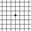 Amsler Grid App problems & troubleshooting and solutions