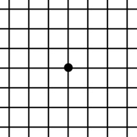 Amsler Grid App