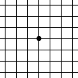 Amsler Grid App