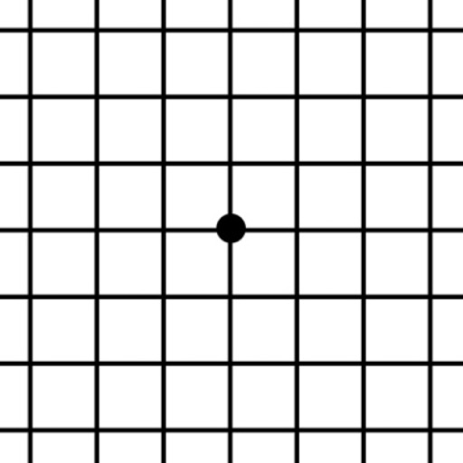 Amsler Grid App