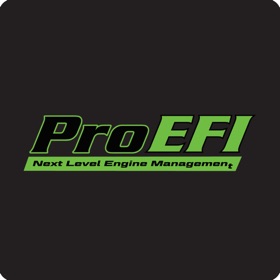 螢幕擷取畫面 (3) ProEFI Logger