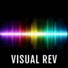 Visual Reverb AUv3 Plugin App Feedback
