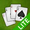 iCardPlayer Lite problems & troubleshooting and solutions