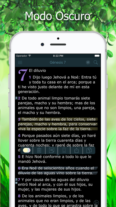 Screenshot #3 pour La Biblia Reina Valera Audio